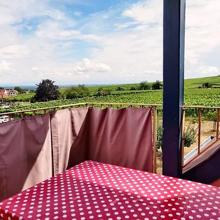 Le Balcon Du Vignoble Apartment Riquewihr