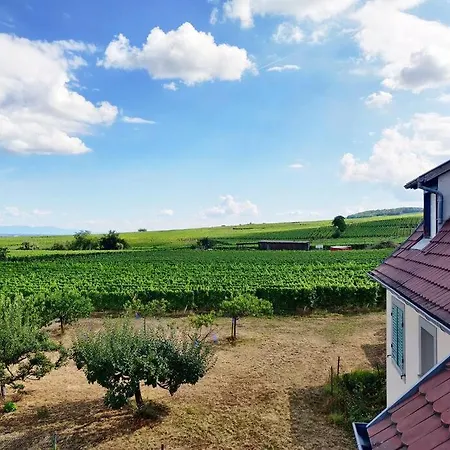 Le Balcon Du Vignoble Apartment *